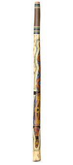 Heartland Didgeridoo (HD393)